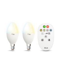 BSOD Lot de 2 ampoules LED magiques rechargeables avec télécommande - Blanc  chaud - Lampe d'urgence sans électricité - Fonctionne avec piles - E26 